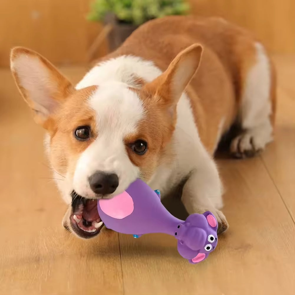 Squeaky Latex Puppy Toy Set