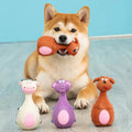 Squeaky Latex Puppy Toy Set