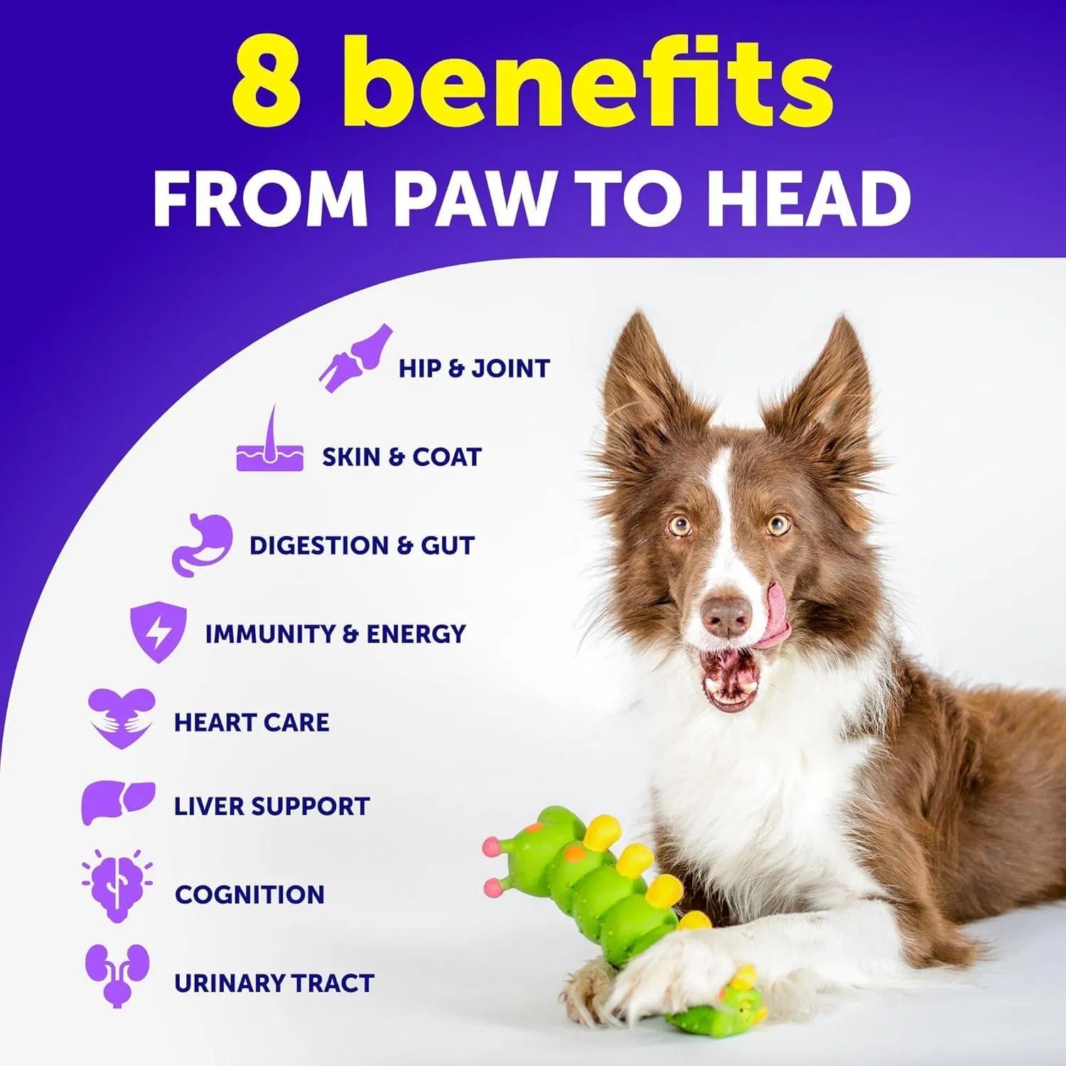 20-in-1 Dog Multivitamin Chews with Glucosamine