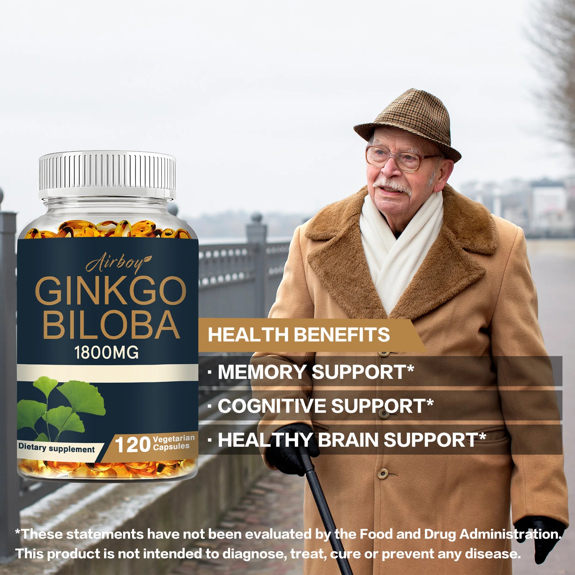 Ginkgo Biloba Capsules - Boost Brain, Improve Memory and Cognitive Abilities, Improve Blood Circulation - 120 Capsules