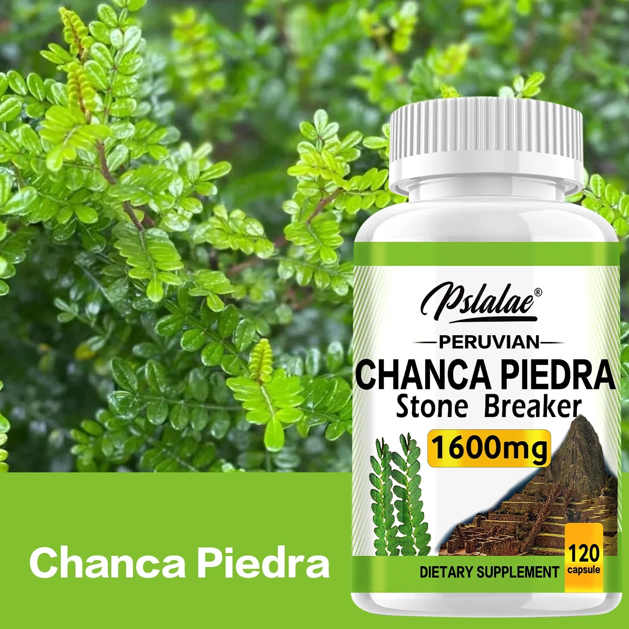 Chanca Piedra 1600mg - Supports Kidney Function, Promotes Detoxification, Cleansing and Repair, and Boosts Energy - 120 Capsules