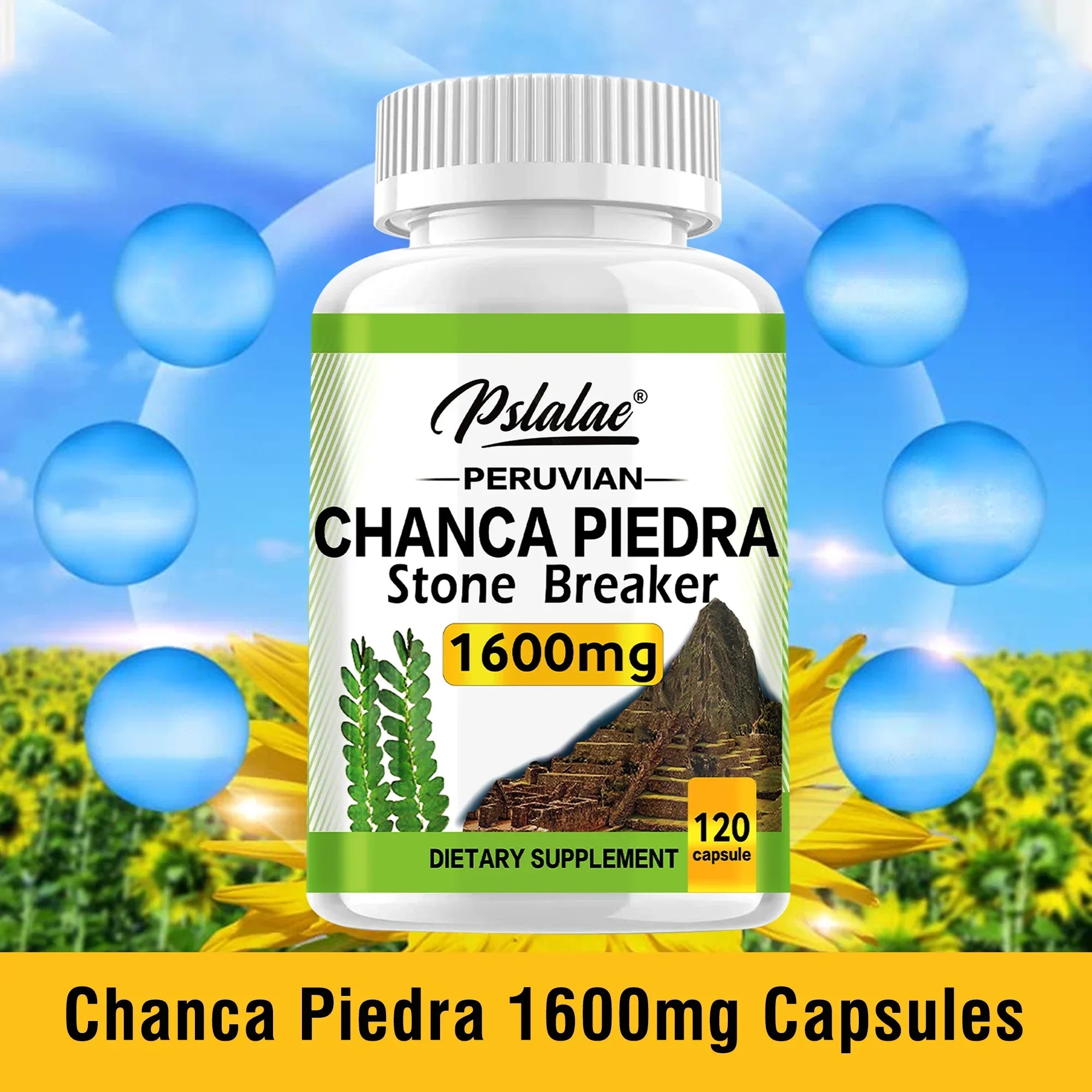 Chanca Piedra 1600mg - Supports Kidney Function, Promotes Detoxification, Cleansing and Repair, and Boosts Energy - 120 Capsules
