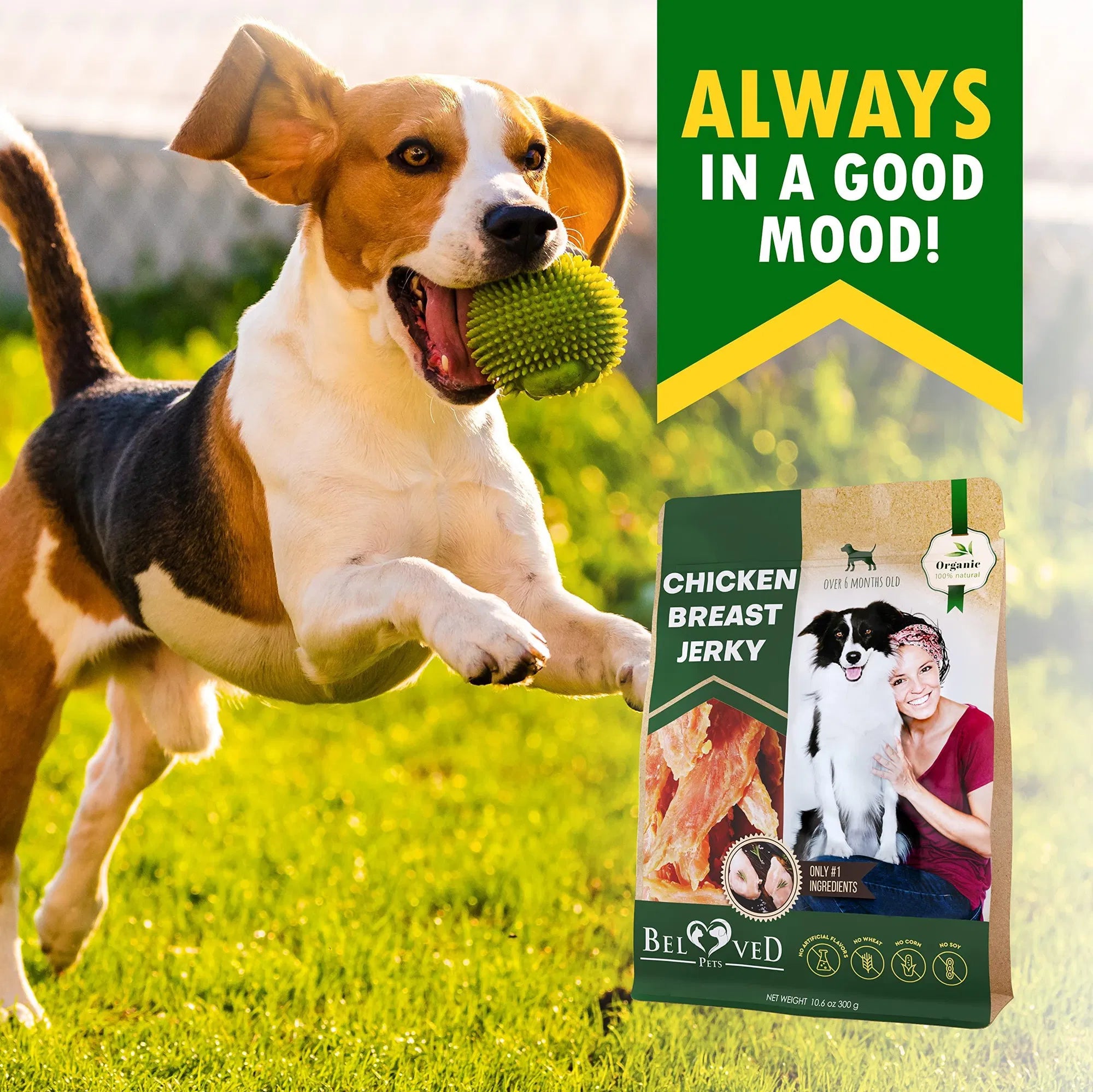 Pure Chicken Jerky Dog Treats