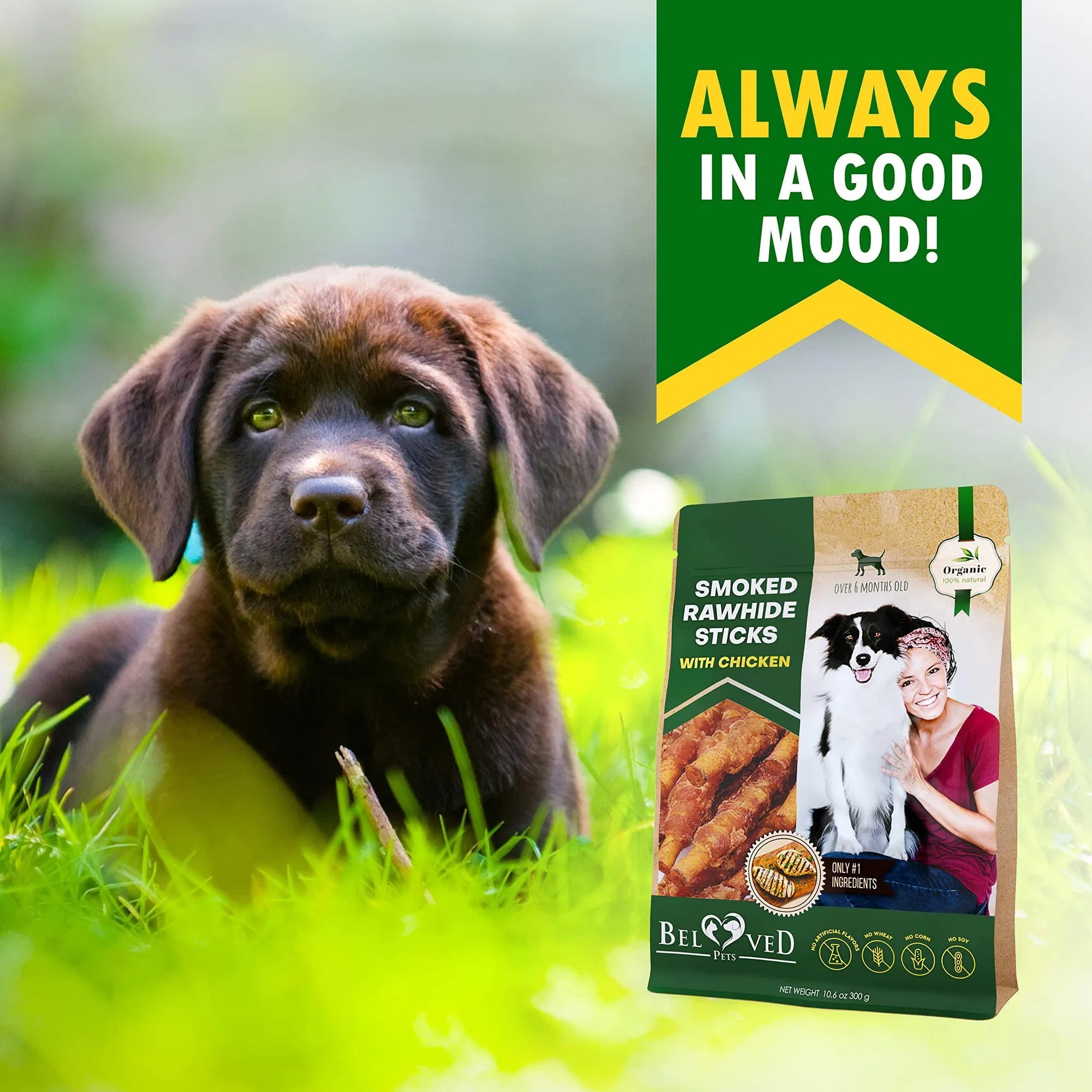 Chicken-Wrapped Rawhide Chews