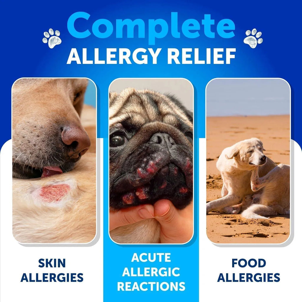 Allergy & Itch Relief Chews
