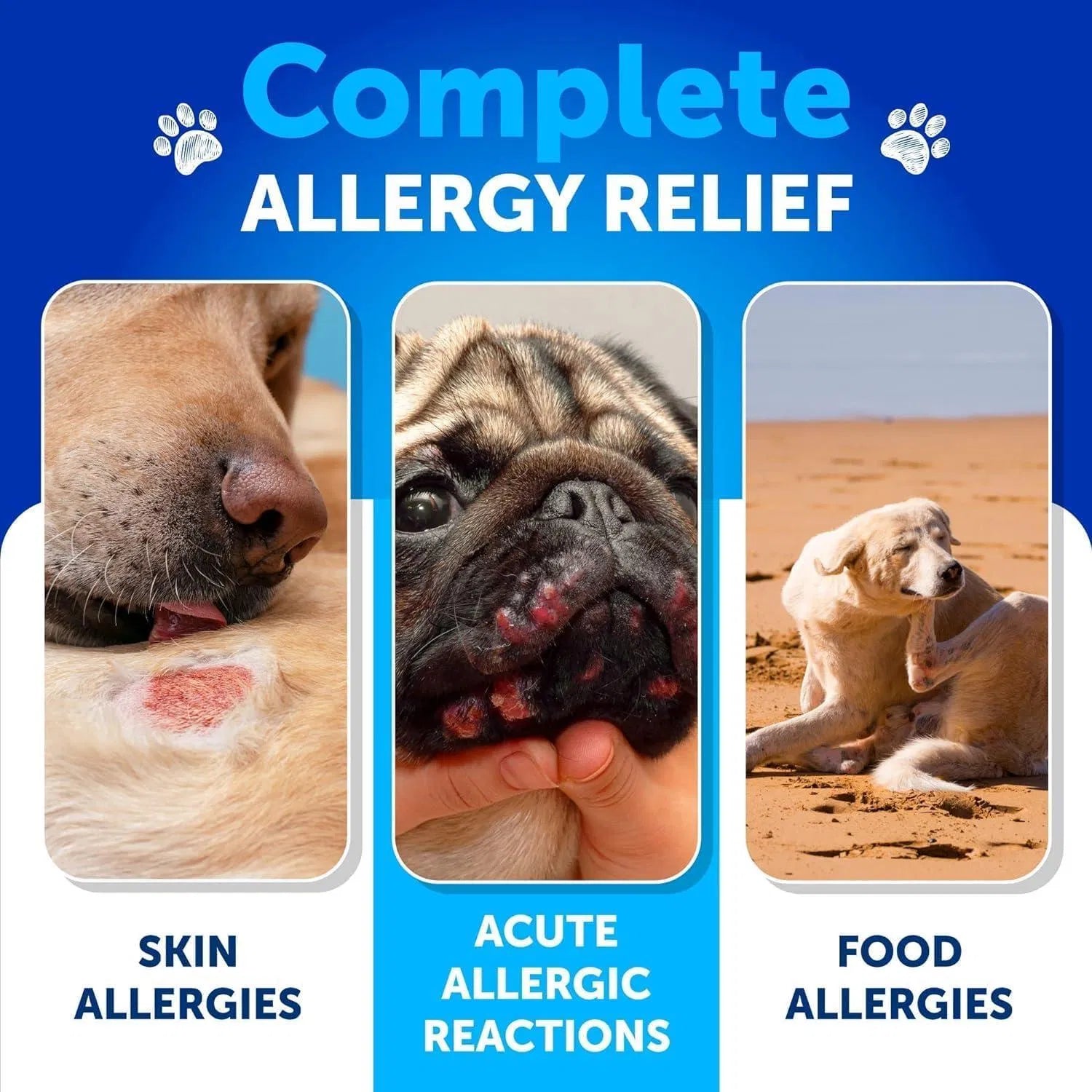Allergy & Itch Relief Chews